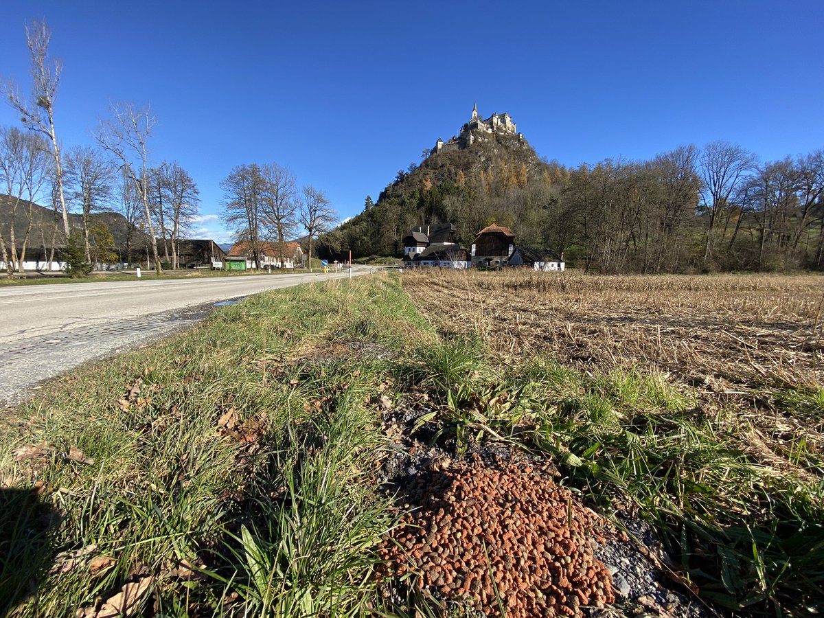 sklingelhoeffer's tweet image. shot of the day:

#hochosterwitz &amp;amp; #tierfutter