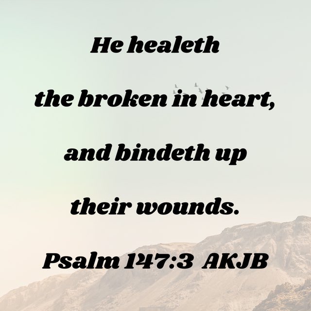 Eugene Nichols (@nichols1162) on Twitter photo 