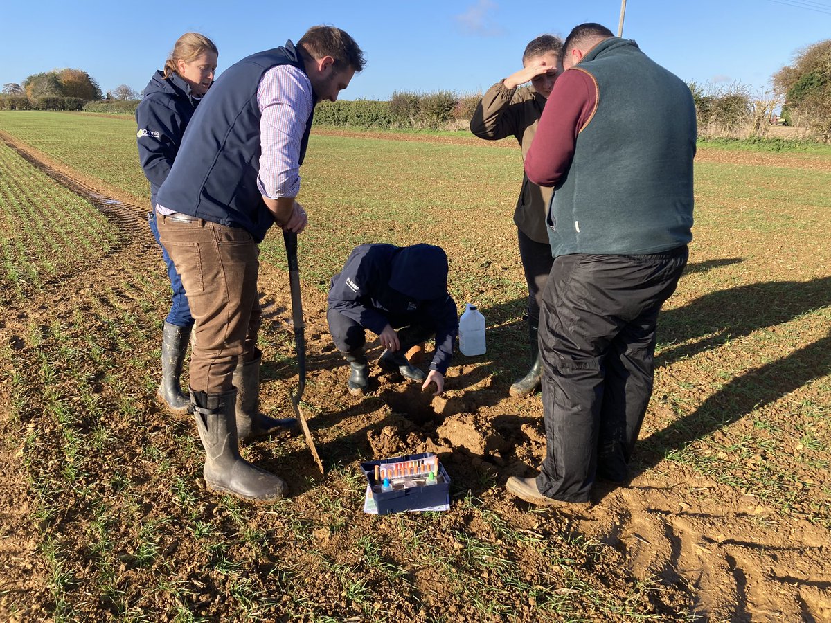 AmeliaGWright's tweet photo. @Hutchinsons_Ag training day on soils with @JadePrinceAg. First up VESS testing in the margin, tramline and in the field. Looking for worms and checking soil structure https://t.co/ZbhSPj2cqW
