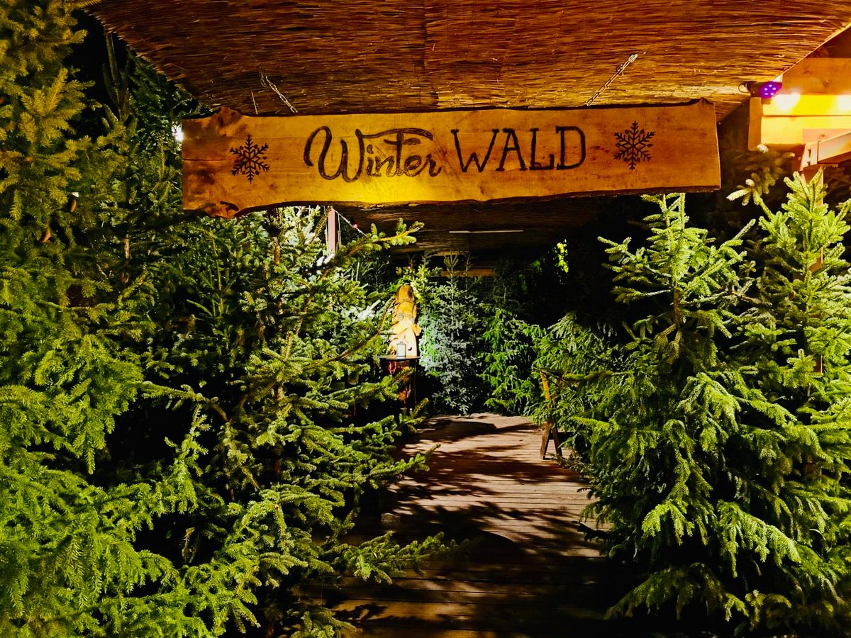 cottbus_info's tweet photo. #Winterwald über den Dächern der Stadt: hoffentlich Flockenwirbel, Tannengrün, der Duft von #Glühwein u nette Menschen, die sich auf den #Advent freuen - das ist die Atmosphäre im Winterwald #Cottbus. Ab 17.11. trifft man sich wieder über den Dächern. https://t.co/y8xZ5wg2up https://t.co/vcrF4qPAvI