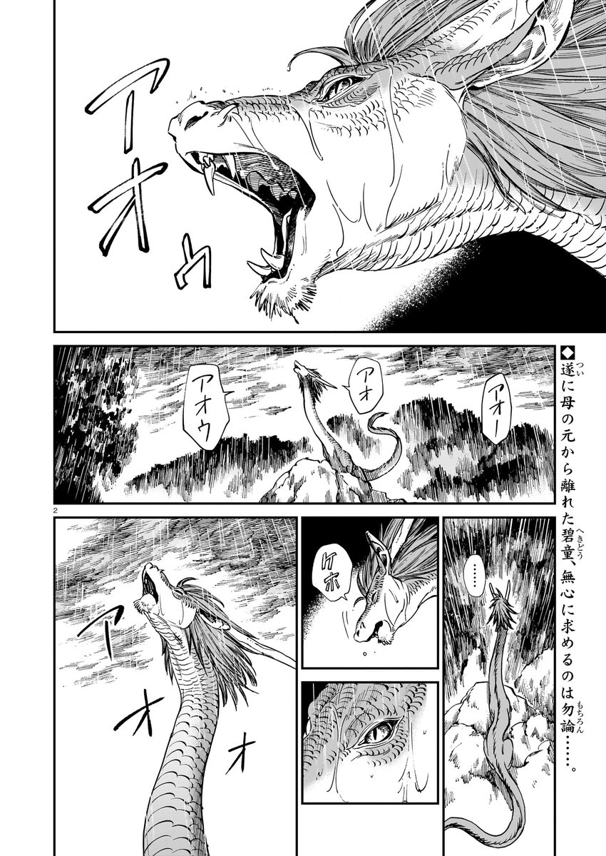 「虎は龍をまだ喰べない。」
発売中のハルタ109号にて第二十七話掲載されております!
再開した二匹にはお互いに引っかかる事があるようで…。
よろしくお願いします!
#まだ喰べ 