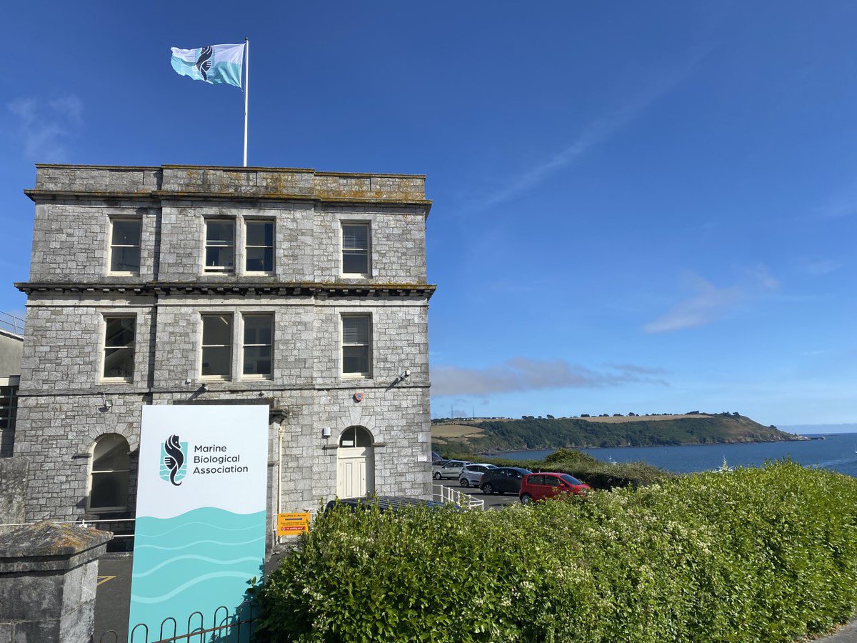 Dan Smale (@dansmale1) on Twitter photo Lots of really exciting PhD opportunities across a range of subjects/groups now up on the website mba.ac.uk/phd-opportunitβ¦
Come join us <a href="/thembauk/">MBA - Marine Biological Association</a>
ππ π±π§¬π©βπ¬π§ͺπ₯Ό Lots of really exciting PhD opportunities across a range of subjects/groups now up on the website mba.ac.uk/phd-opportunitβ¦
Come join us <a href="/thembauk/">MBA - Marine Biological Association</a>
ππ π±π§¬π©βπ¬π§ͺπ₯Ό