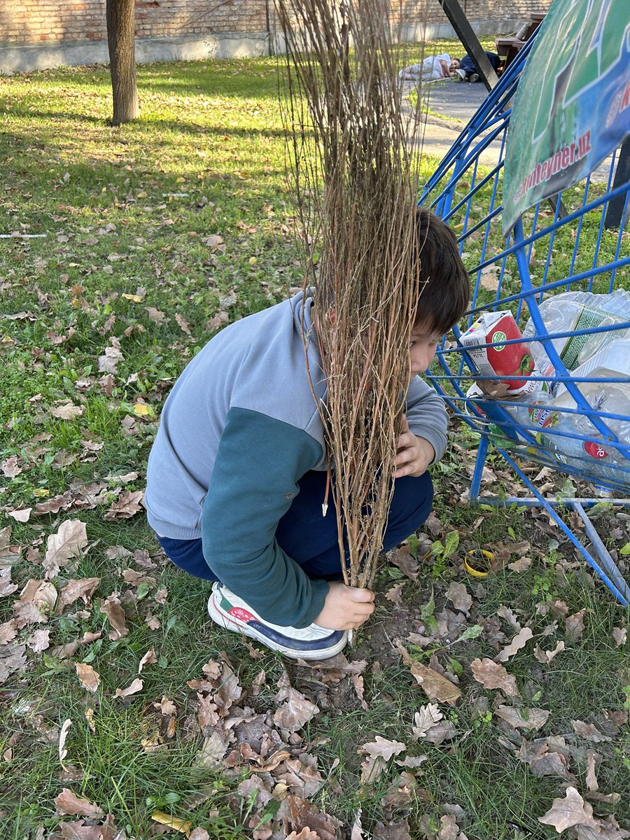 #tashschool students learning about and playing with the concept of camouflage <a href="/LenaGT/">Lena Thomson</a> <a href="/noahbeaumont/">Noah Beaumont</a> <a href="/DohaDerek/">Derek Nelson</a> #outdoorlearning #nature