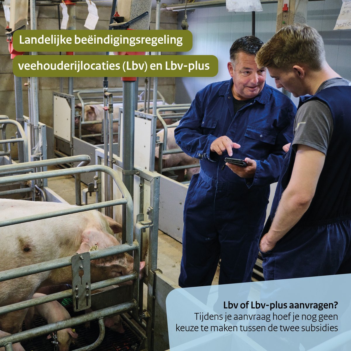 Wil je de Lbv of de Lbv-plus aanvragen? Je hoeft bij je aanvraag niet te kiezen tussen de subsidies. We kijken bij de beoordeling onder welke regeling je valt.

De deadline van de Lbv is op 1 december 2023 om 23:59 uur. De Lbv-plus sluit op 5 april 2024. 📲

#Lbv #LbvPlus