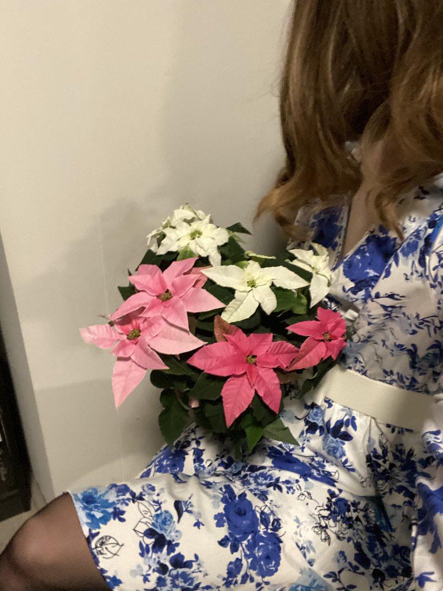 QKarin_com's tweet photo. i make him to suck a dck, and fck him in the ass and he brings me frowers in return - what a day!
For online session join my discord https://t.co/obCd1rufLc
#demdom #findom #pay4play https://t.co/KJgx2ylxen