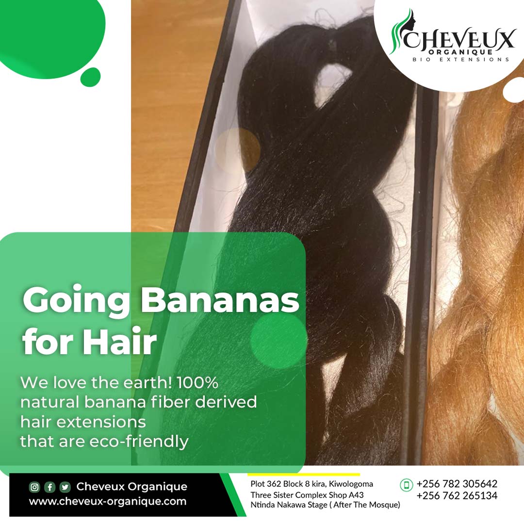 CheveuxLimited's tweet photo. Our innovation is basically the introduction of a Natural
Hair Extension made from Banana Fiber, with a focus
on saving the environment by reducing the use of
Synthetic Hair Extension which is currently used
Worldwide by all ethnic groups. https://t.co/zaG0hr72At