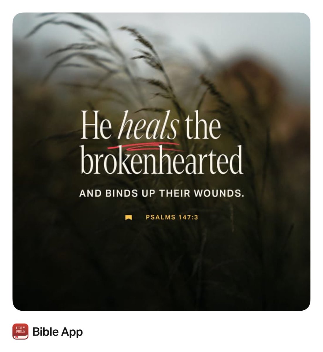 Dennis Green tweet media