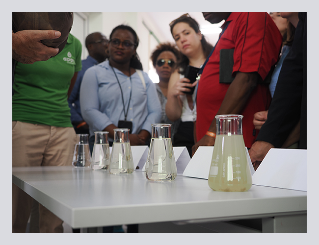 AguasPontaPreta's tweet photo. Visita institucional à ETAR de Santa Maria no âmbito da XIV Conferência Anual da #RELOP “Integração de Vetores Energéticos” na #IlhadoSal #CaboVerde https://t.co/t6yZuuCKQA