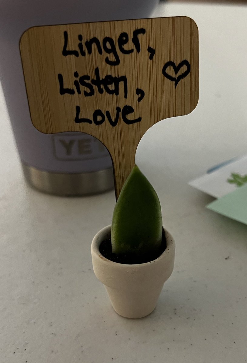 Sarah Cassidy tweet media