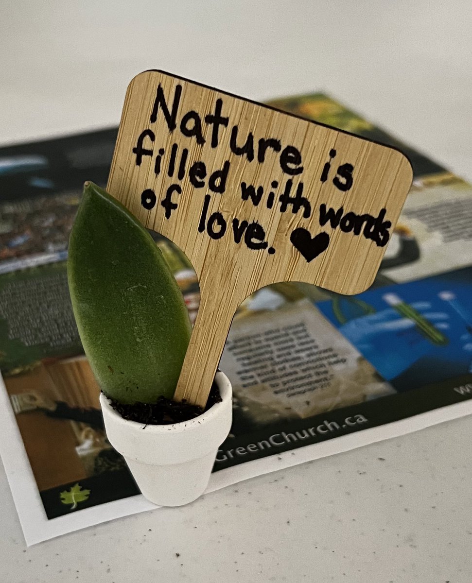 Sarah Cassidy tweet media