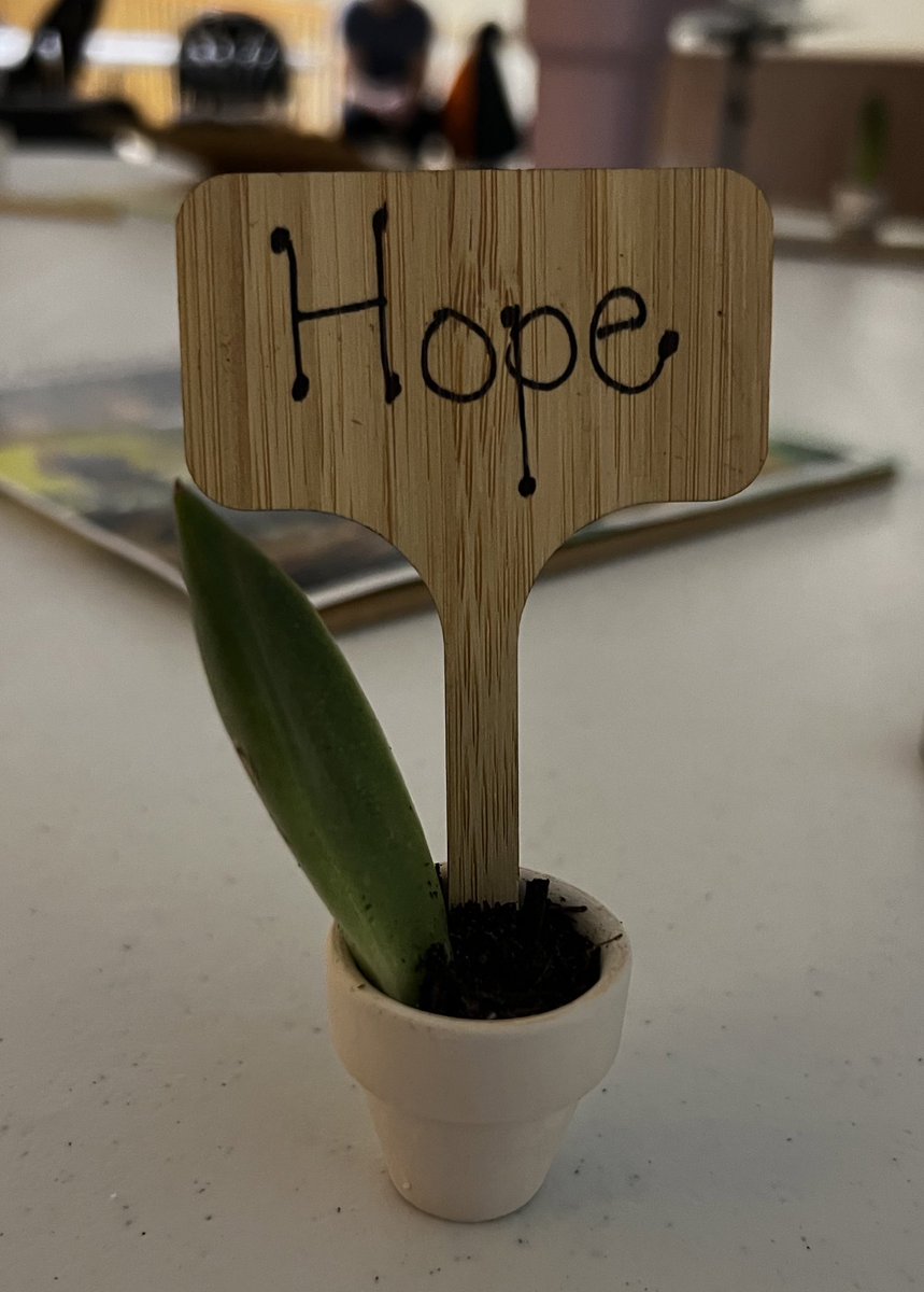 Sarah Cassidy tweet media