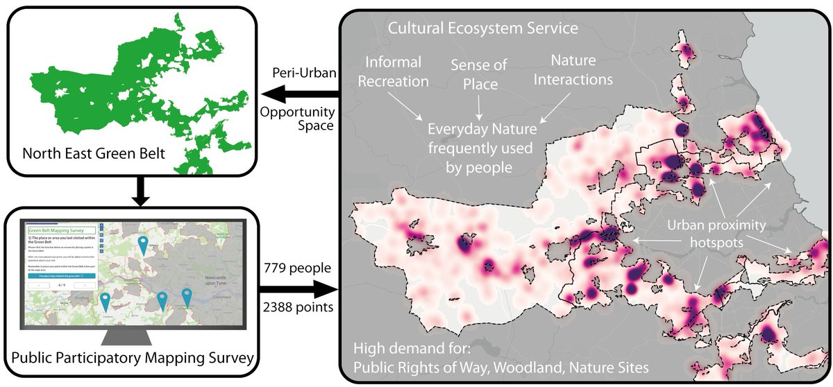 📢 My 3rd PhD paper with @Prof_AJScott  & 
@clwnewc  is now published in @ESandPeople 
 🌳 🚶‍♀️

Using a Public Participatory GIS (#PPGIS) we investigated the cultural #EcosystemServices provided in contentious #GreenBelts  landscapes 📜 doi.org/10.1080/263959…🧵(1/10)