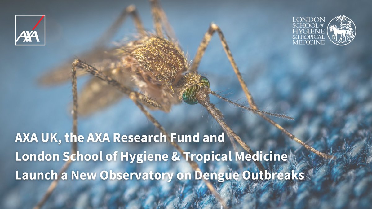 AXAResearchFund's tweet photo. Dengue is the most prevalent and fastest growing #vectorbornedisease. Its expansion in relation to #climatechange puts 2.25 billion people at #risk. This new observatory allows for earlier sanitary alerts and better management of future outbreaks. 👉https://t.co/Pfjtr361qi https://t.co/cbKBibtXrh