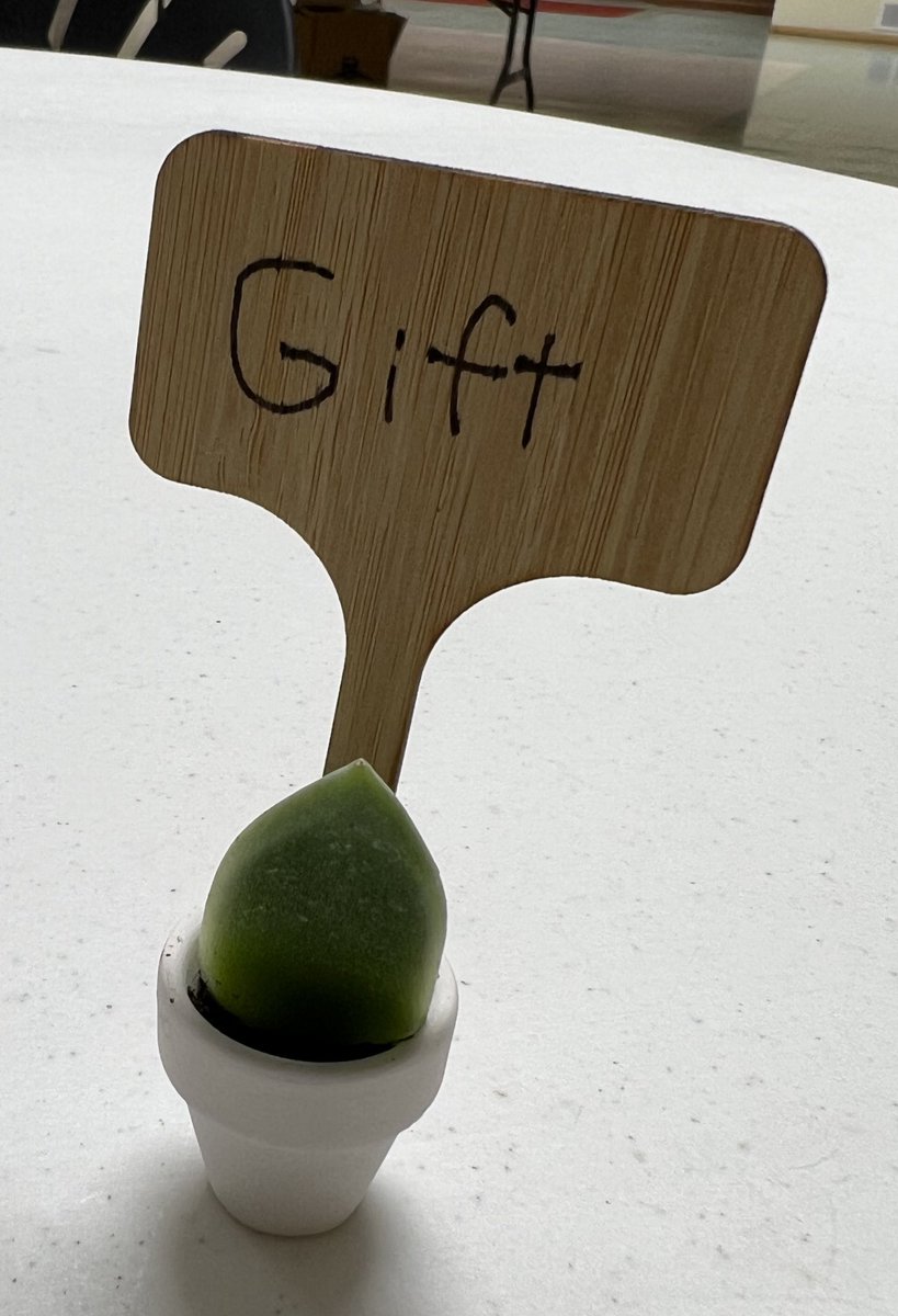 Sarah Cassidy tweet media