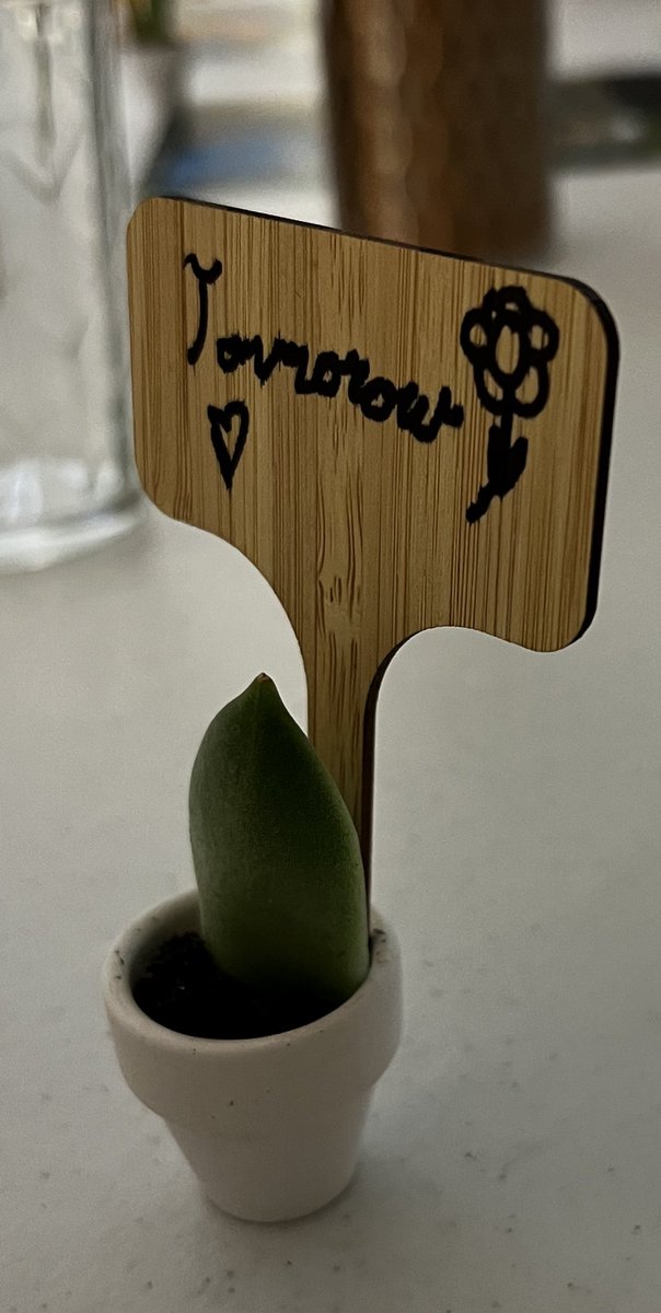 Sarah Cassidy tweet media