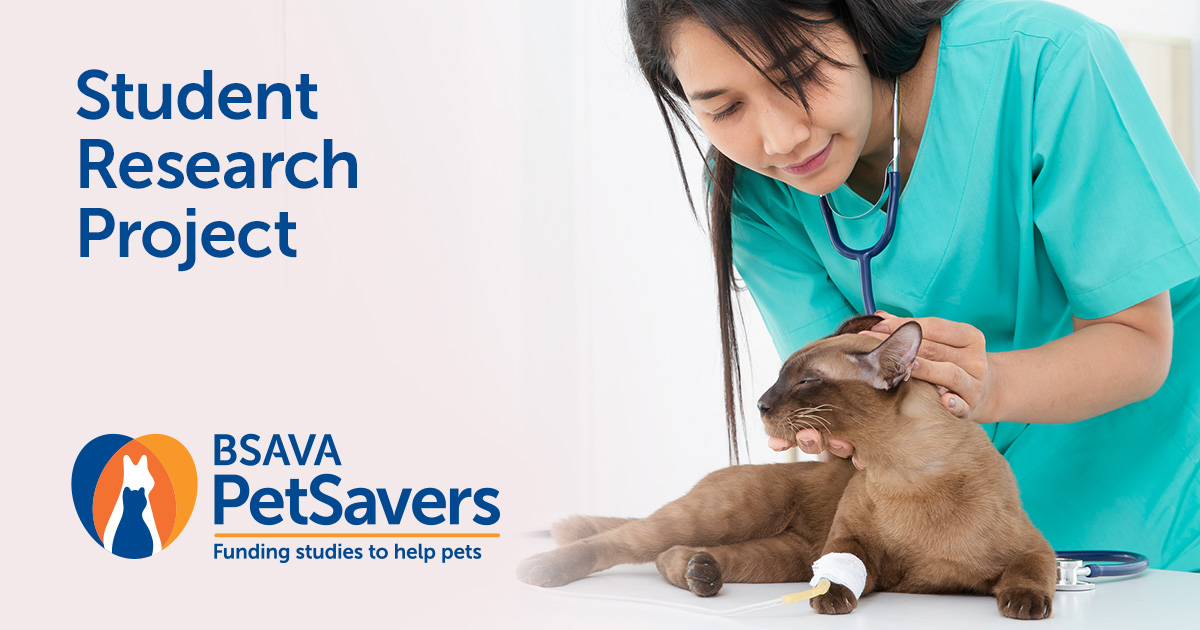 PetSavers_UK's tweet photo. The next cut-off point for our Student Research Project grant is 31st January! Supporting students to carry out a short research project, offering a weekly stipend, a consumables budget and the opportunity to present at BSAVA Congress! 
Find out more 👉 https://t.co/E9N31bceII https://t.co/kl9UvfNu6b
