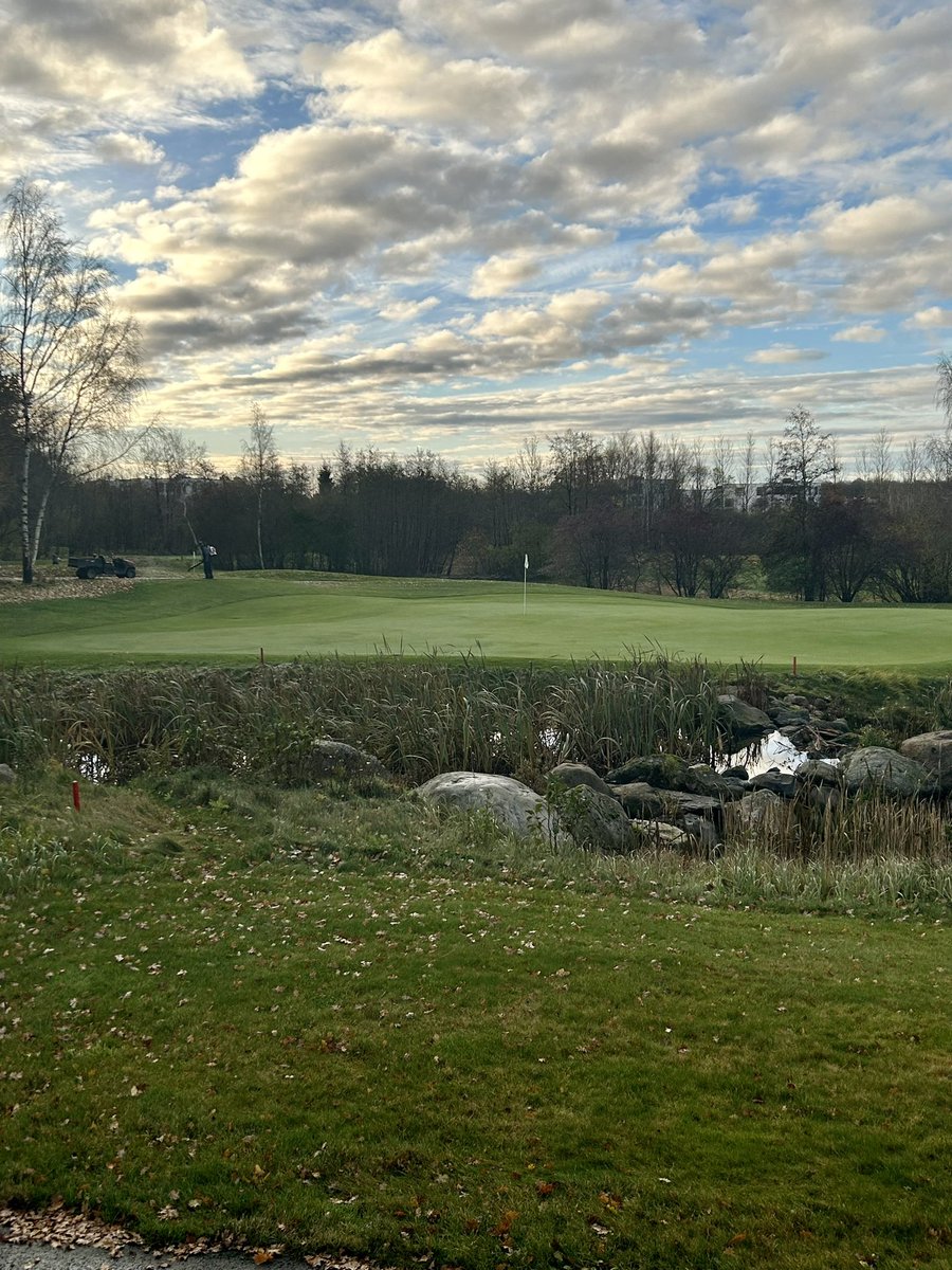 The Scandinavian tweet media