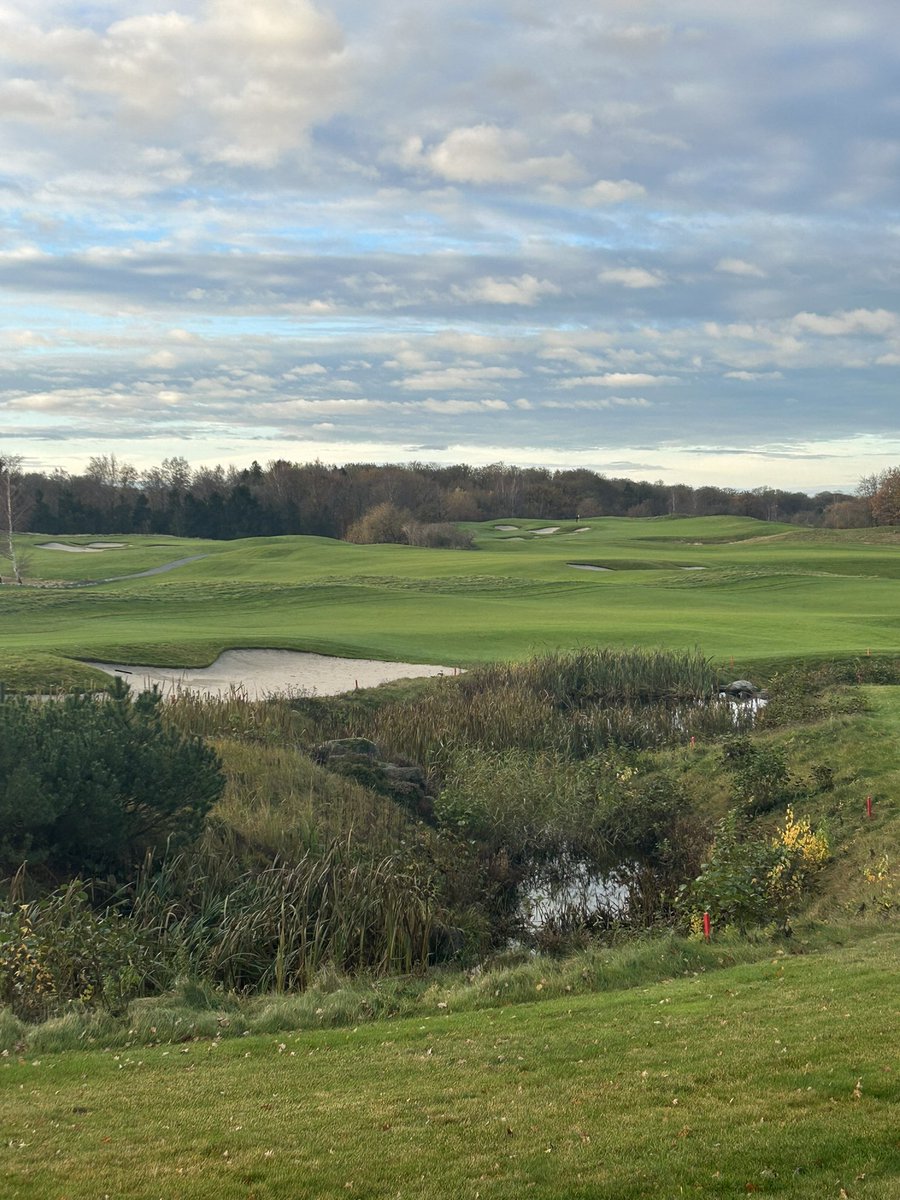 The Scandinavian tweet media