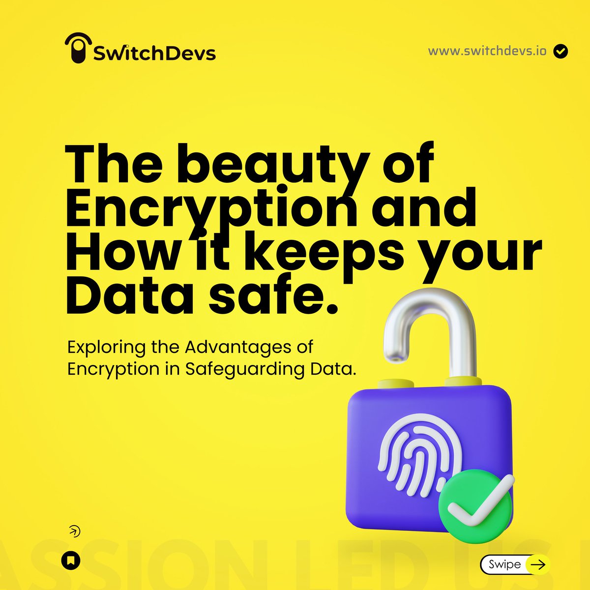 Switch Developers tweet media