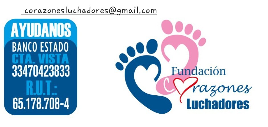 Daniela Chávez tweet media