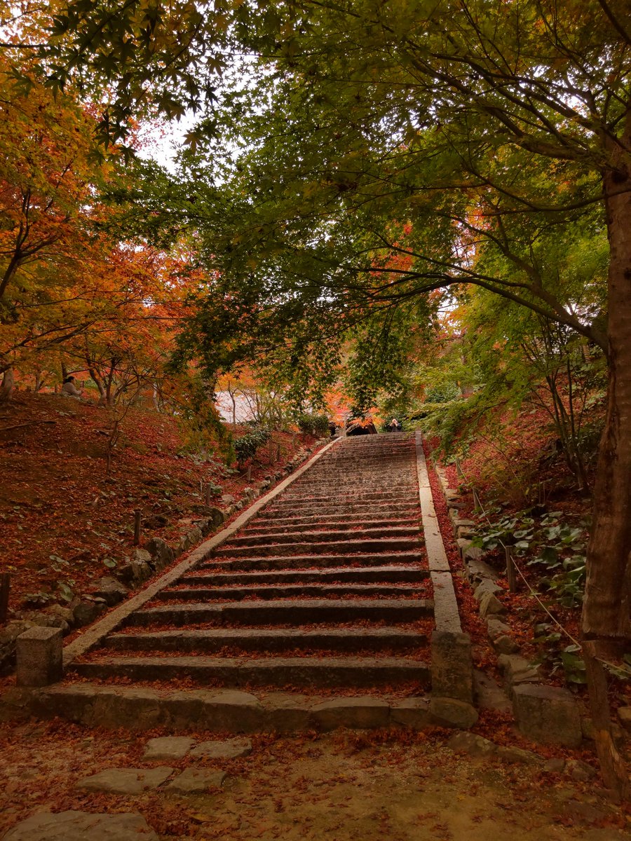 straysstar1's tweet photo. あの頃の面影を捜して
#art_of_japan_
#team_jp_
#古刹めぐり
#daily_photo_jpn
#best_moments_nature
#nature_special_
#広がり同盟
#山口カメラ部
#team_jp_
#bestjapanpics_
#rox_captures
#紅葉スポット
#両足禅寺
#photo_jpn
#love_bestjapan⠀
#art_of_japan_
#山口市フォトコン2022 https://t.co/zf8KBdPRUa