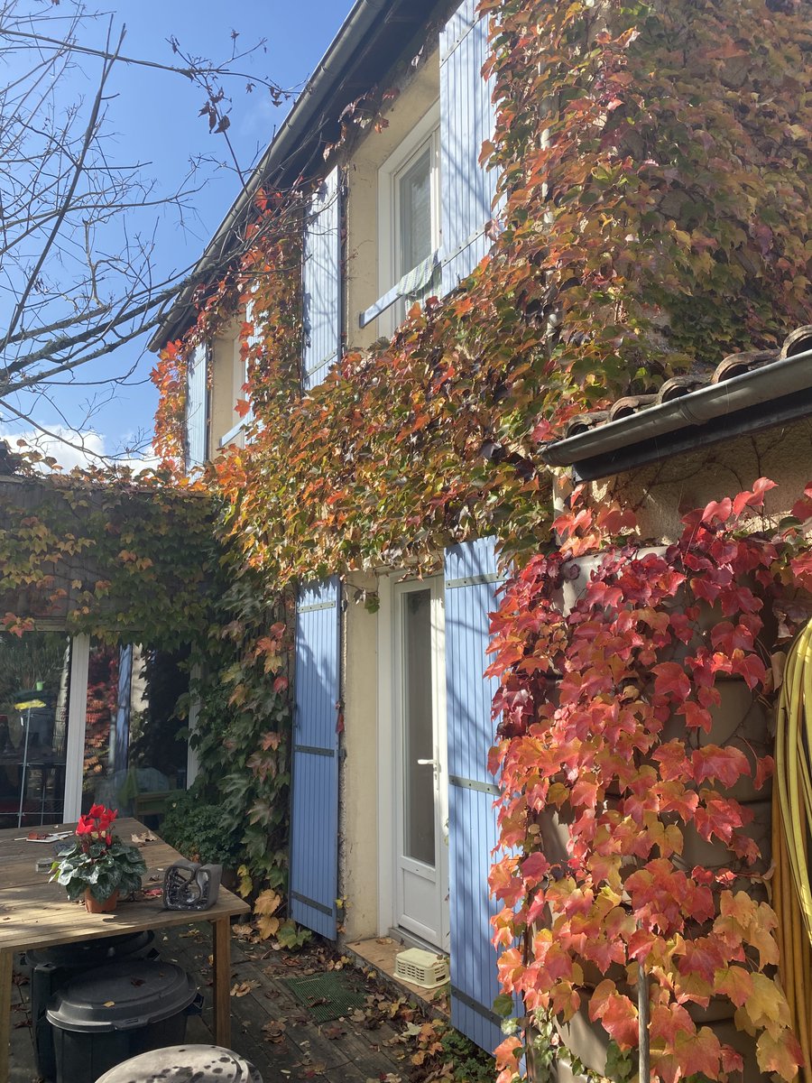 acmg54JFB's tweet image. Elle nous a protégé des hautes températures cet été et là elle toute belle des couleurs de l’automne !
En été ce sont les eaux de la vaisselle qui lui permettent de produire de l’eau verte et de nous rafraîchir! Et vous c’est pour quand?