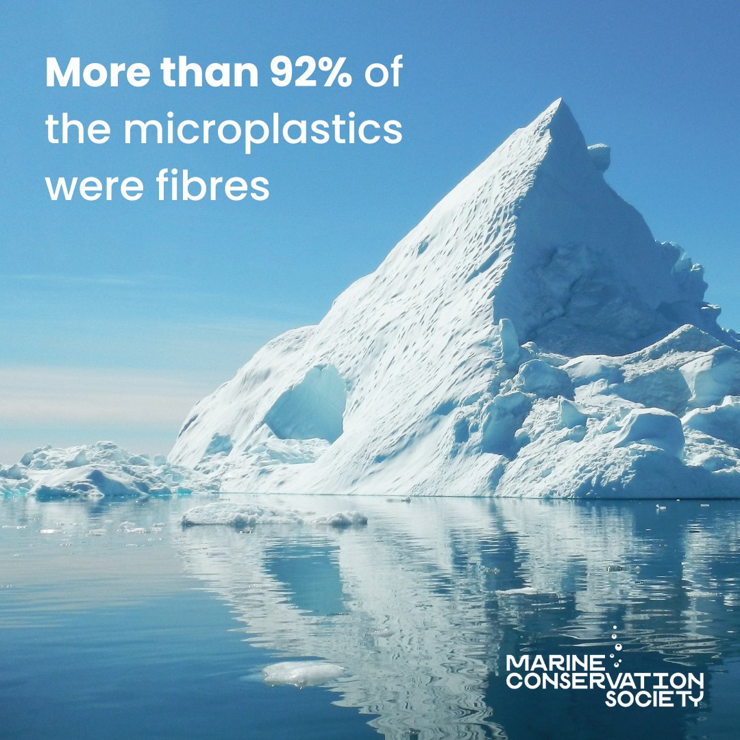 mcsuk's tweet photo. A shocking study has found that the Arctic is “pervasively” polluted by microplastic fibres. We've been campaigning to #StopOceanThreads by asking washing machine manufacturers to commit to fitting microfibre filters by 2025 and an amazing 44K+ of you have shown your support!
1/2 https://t.co/78jD3vQkYL