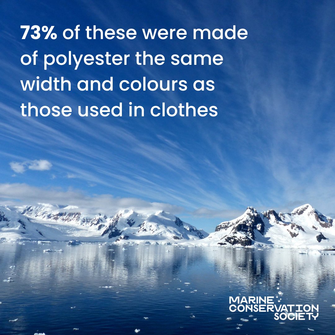 mcsuk's tweet photo. A shocking study has found that the Arctic is “pervasively” polluted by microplastic fibres. We've been campaigning to #StopOceanThreads by asking washing machine manufacturers to commit to fitting microfibre filters by 2025 and an amazing 44K+ of you have shown your support!
1/2 https://t.co/78jD3vQkYL