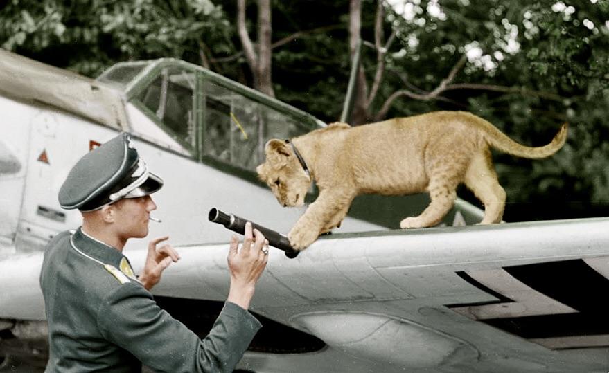 WW2 Airfields Archive tweet media