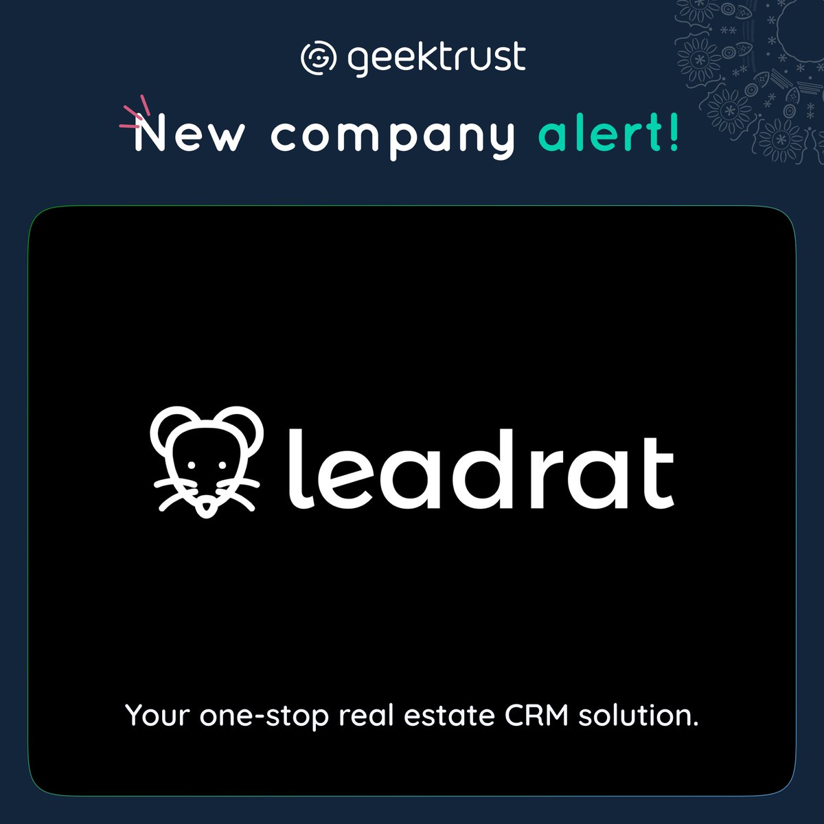 geektrust's tweet image. Leadrat is now on Geektrust hiring developers from our pool of more than 1,20,000+ for their team. Choose from plans best suited to your hiring needs and more!

Wondering how we do it? Visit lnkd.in/ge3hFJsG to learn more.

#NewCompany #DeveloperHiring #TechHiring #Leadrat