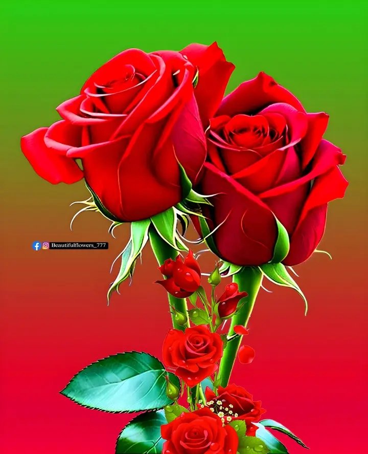 Muhamma10786123's tweet photo. @Humaireh_ This my gift God willing you are my wife https://t.co/O4r5vmw4gx