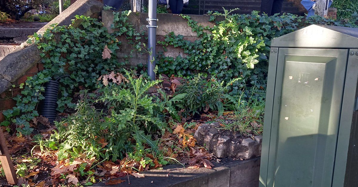 Can you garden at Jacksons Lane to turn this into a great shop window for them? Come along tomorrow 11am to 2pm or the next few Thursdays with your trowels and dibbers to transform this patch and get coffee. Sign on Garden Volunteering at Jacksons Lane - Jacksons Lane or tuen up.