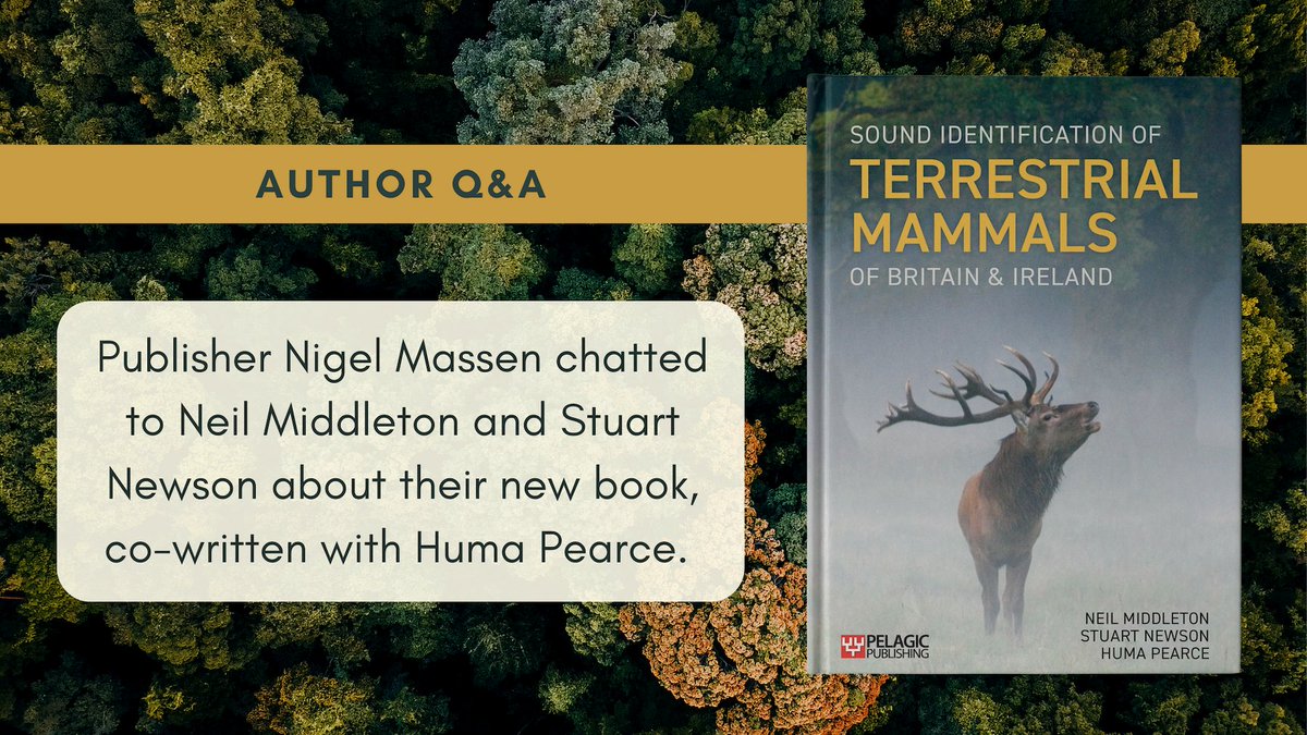 To celebrate the publication of Sound Identification of Terrestrial Mammals we're sharing a conversation between Nigel Massen from Pelagic and authors @BatAbility and @NewsonStuart. Follow the link to learn more about this long-awaited book ➡️ loom.ly/r9oroX4