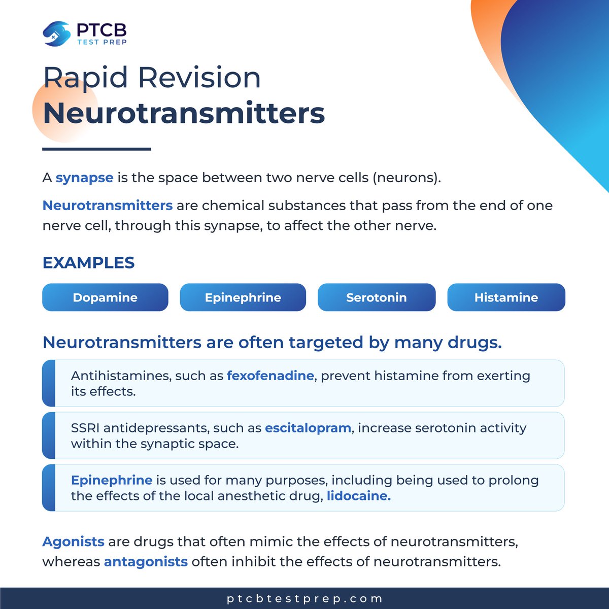 ptcbtestprep's tweet photo. โ๏ธNeurotransmitters are frequently targeted as the mechanism for many, many drugs.
For the PTCB exam, pharmacy technicians are expected to have a basic understanding of neurotransmitters and the drug classes that impact them.
#PTCB #ptcbexam #ptcbtest #rxtech #pharmacytechnician