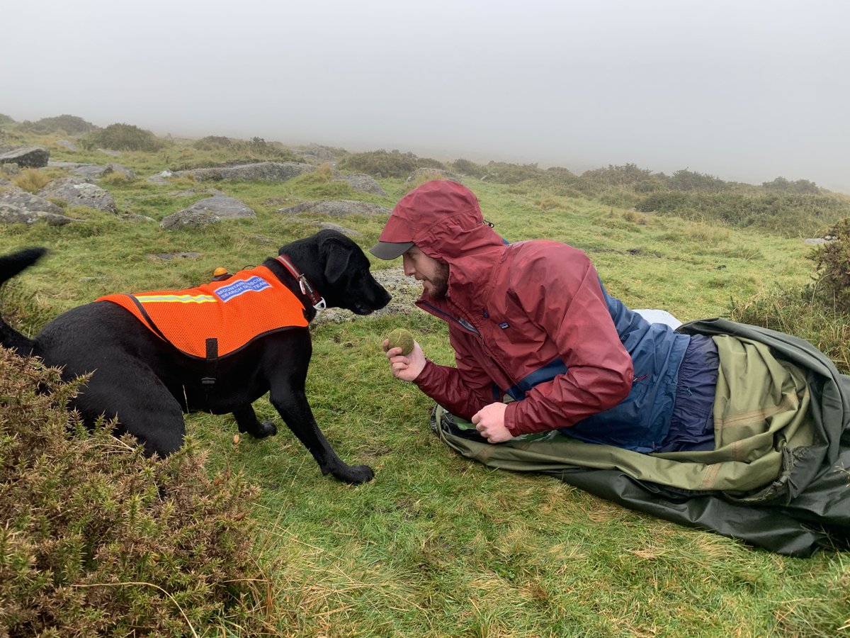WestCornwallSAR's tweet photo. There's also been a couple of weekends search dog training for Merryn and Matt on Dartmoor and in the Brecon Beacons. Thanks as always to the amazing volunteer ’dogsbodies’ for giving up your time! https://t.co/gGW2qJiZs6