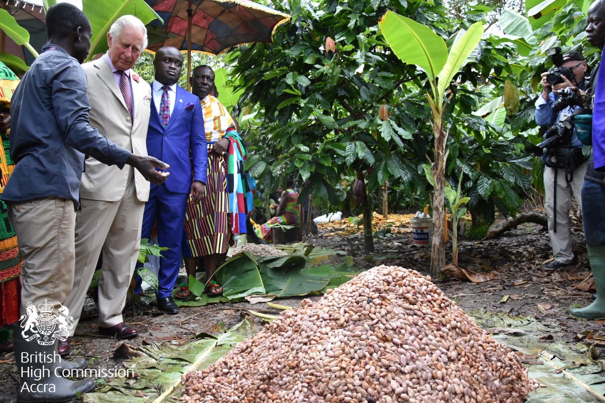 UKinGhana's tweet photo. . #DYK King Charles III took proactive steps to support #cocoa #farmers in Ghana when he was a Prince?
 
The implementation of the Cocoa Management Systems & National Forest Monitoring System has positively impacted 1 million farmers across 3.2 million hectares of cocoa farming land.
 
#KBP2023 will be a celebration that spotlights his efforts towards #climate #sustainability in GH and across the globe
 
#GreenKBP202 #SustainabilityIsGREAT #SustainabilityUK