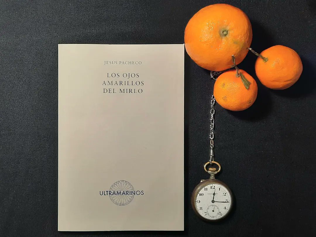 Jesuspachecoprz's tweet image. Amigas y amigos: ya está en librerías «Los ojos amarillos del mirlo», un libro que comenzó en 2019 y es que un jardín que nace y se destruye, una carta de amor, un gato que en invierno se esconde en un coche, el deseo por la palabra, el cuerpo que no se alcanza. ❤️🔥 ⚘️💌
