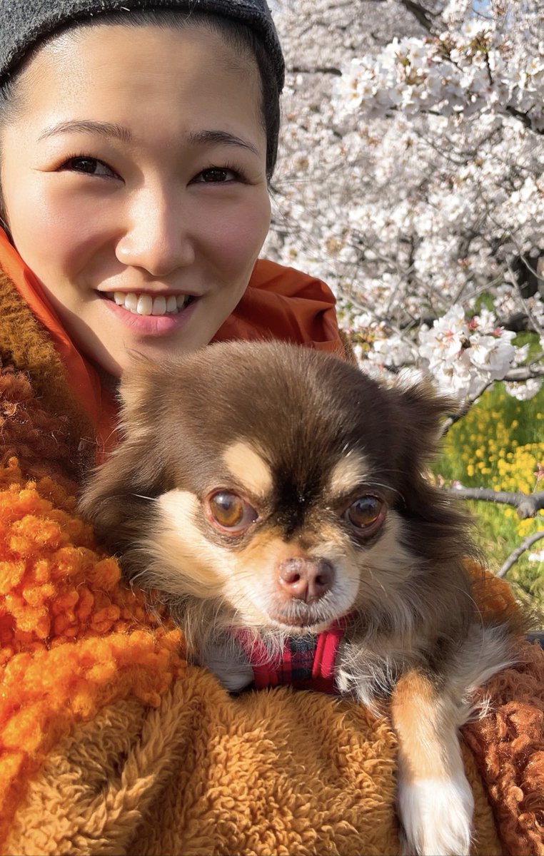 tsumatsumayouji's tweet photo. いちごを迷い犬にさせてしまい、今日で4ヶ月。毎日捜索に行かない日はなく、探偵数社、縦看板5箇所、街頭モニター1箇所、チラシ10万枚、新聞折り込み、手配り、ラジオ放送、SNS拡散、霊視、アニマルコミュニケーター延べ200名ほど。遺体でも良いので会いたいです。
#拡散希望 https://t.co/c0JBdC75Ox