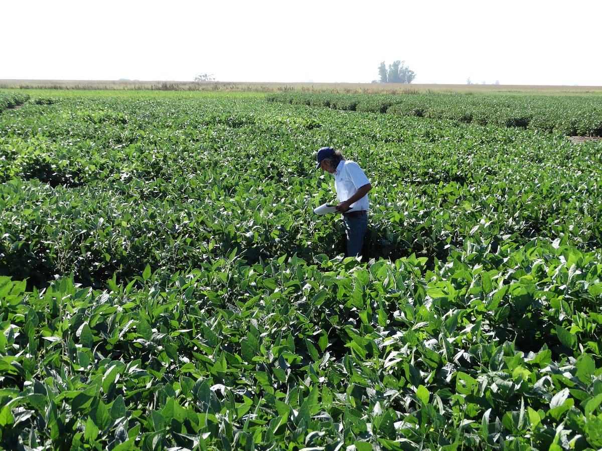 INTA Informa tweet media