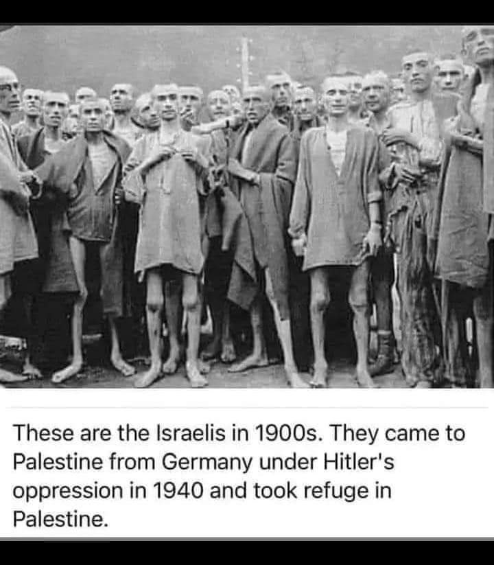 z_araimi's tweet photo. ذكروهم بتاريخهم المسخ..
ذكروهم كيف دخلوا فلسطين بعد أن لفظهم العالم أجمع..
ذكروهم كيف رفضتهم أمريكا و كل أوروبا قبل الهولوكست
ذكروهم كيف كانت اشكالهم و أجسامهم 
وحالتهم المزريه عندما دخلوا حفاه عراه الى أهل العز و الشموخ
ذكروهم أنهم قوم مغضوب عليهم الى يوم الدين🔻 https://t.co/KcSpx1U5yE
