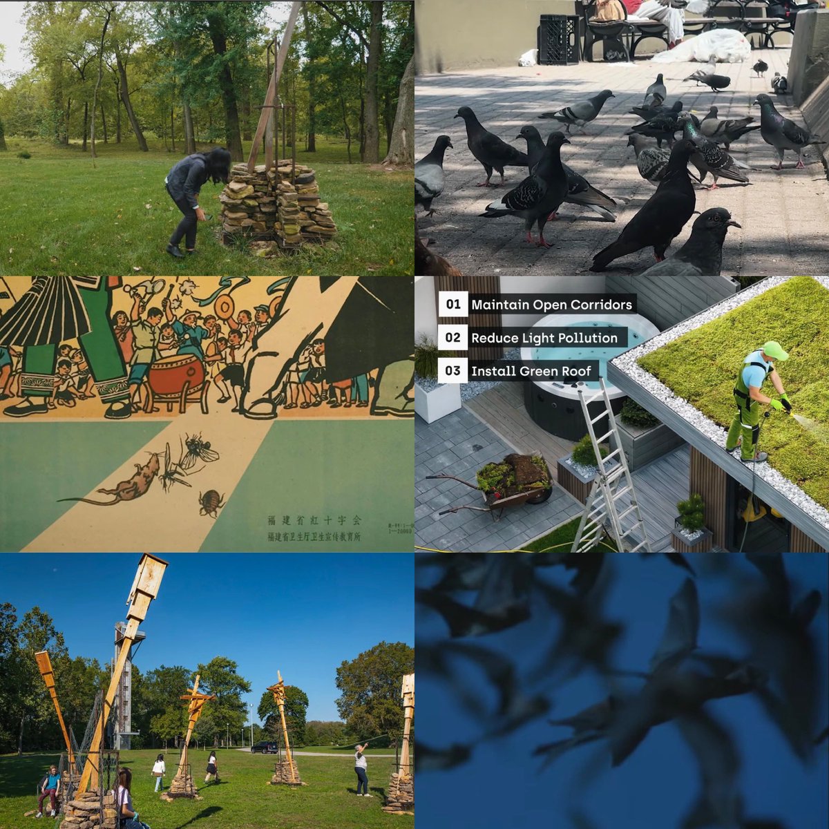 Joyce Hwang tweet media