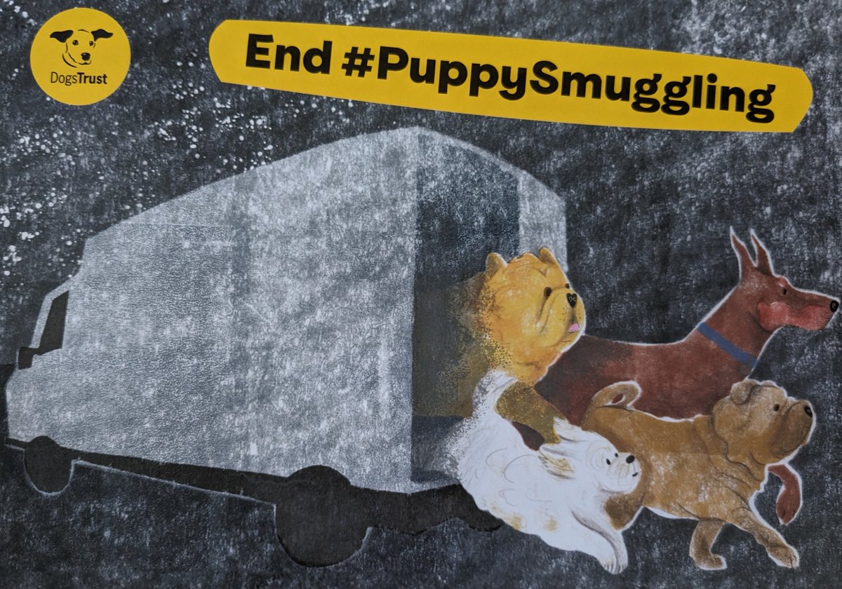 I am supporting the @DogsTrust campaign to end #PuppySmuggling #ListeningCampaign