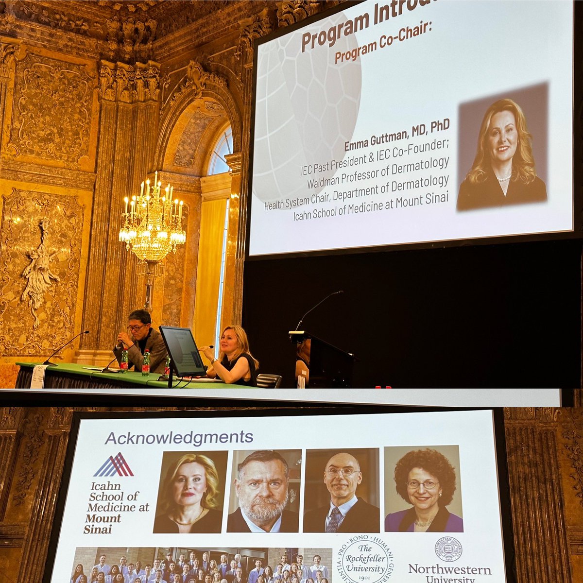 MSHSDerm's tweet image. Co-chair @EmmaGuttman led the International Eczema Council
(IEC) Pre-Meeting Symposium #ISDS2023 #Vienna – “Research Techniques in Atopic Dermatitis” #SkinDisease #dermatology