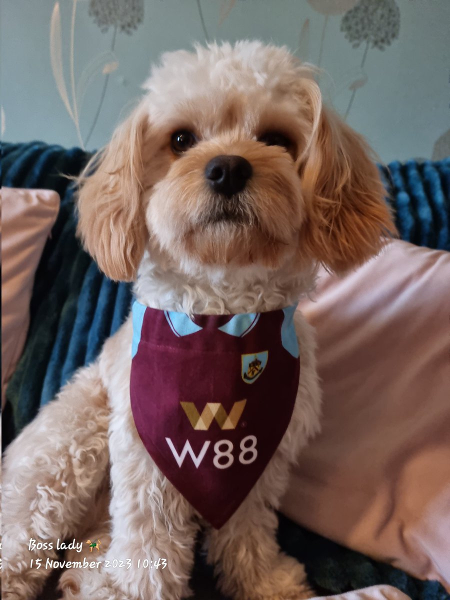 deborah barton tweet media