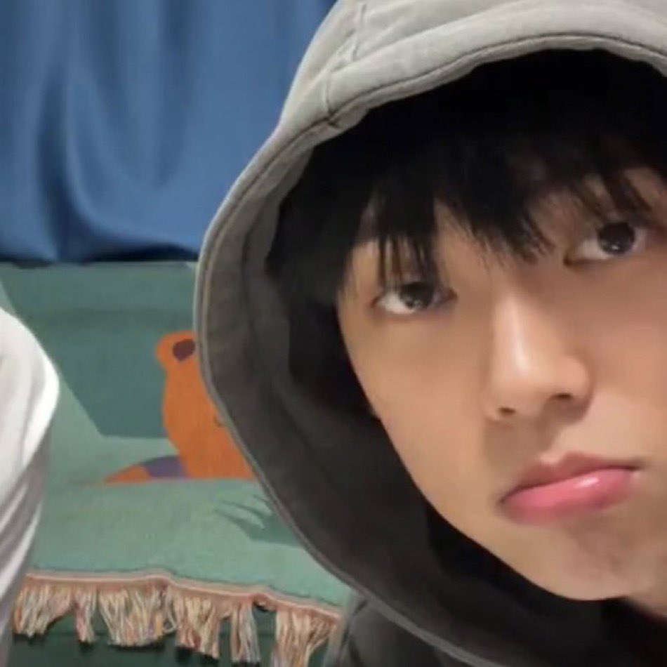 수능 칠때 고양이 데려가도되냐,,,?
맨날 돈까스 먹는 고양인데 나없으면 안돼ㅜㅜ