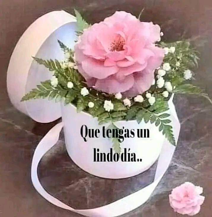 Buenos días 🌻🌞🌼🌹💐🌹🌄🌞🌼🌹