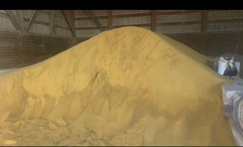KellyGarrett75's tweet photo. . In response to your question @boydmyers about what my cattle eat that go into GLC https://t.co/cCj3xISGwD I’ve attached 3 pictures. 

1st is dry ddgs or distillers grains. Ddgs are a by product out of the ethanol industry. These are 28% protein and serve as a source of energy and protein for the calf. 

2nd are soyhull pellets. These are a by product out of a soybean plant. Before the plant can process the bean for Soyoil and soymeal the hull must be removed. The hulls are then pelletized and sold for feed. Nutritionally they are comparable to the best alfalfa hay you can find. We choose these over hay because of the pellets small size they can be digested more quickly by the calf

3rd is corn silage. We chop about 45 acres of our corn every year and pack it in a pit to remove the air. It ferments and stay fresh as the basis for our feed ration. Silage has been around for generations and is a great cattle feed

I feel that our use of the by products from the ethanol and soy processing plants dispell the idea of the food vs fuel debate. These by products have made life easier and more affordable for every farm and ranch that chooses tho use them. I can’t imagine raising cattle without these tools. 

The use of these by products also shows something else to the general public. Sustainability. By using all portions of the kernel or the soybean there is no waste.  We’ve started to measure this by calculating our CI score (Carbon Index). I believe the Carbon space will move towards this metric and this is how farmers will be paid for their #sustainable efforts. I envision my CI score on my beef packages at GLC https://t.co/cCj3xISGwD. Instead of packaging just saying “sustainably raised” on it imagine the CI score on the package because of the traceability back the original source. This gives the consumer the ability to choose who and from where there purchases are supporting.