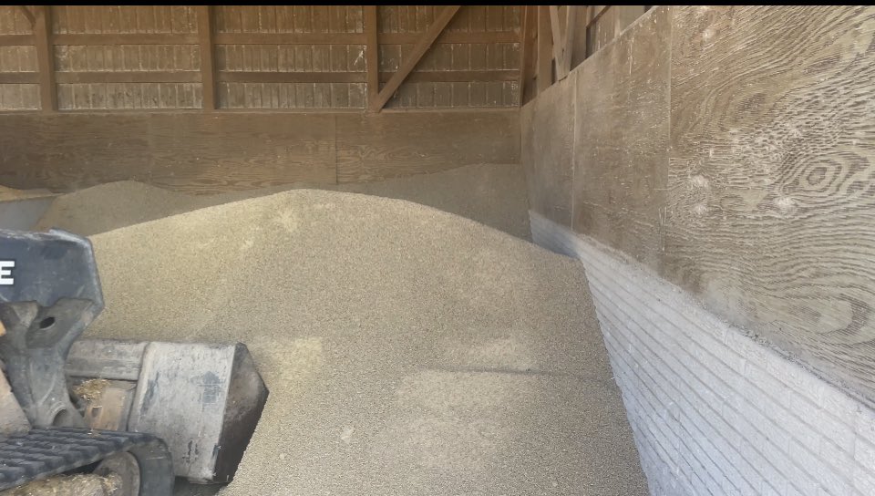 KellyGarrett75's tweet photo. . In response to your question @boydmyers about what my cattle eat that go into GLC https://t.co/cCj3xISGwD I’ve attached 3 pictures. 

1st is dry ddgs or distillers grains. Ddgs are a by product out of the ethanol industry. These are 28% protein and serve as a source of energy and protein for the calf. 

2nd are soyhull pellets. These are a by product out of a soybean plant. Before the plant can process the bean for Soyoil and soymeal the hull must be removed. The hulls are then pelletized and sold for feed. Nutritionally they are comparable to the best alfalfa hay you can find. We choose these over hay because of the pellets small size they can be digested more quickly by the calf

3rd is corn silage. We chop about 45 acres of our corn every year and pack it in a pit to remove the air. It ferments and stay fresh as the basis for our feed ration. Silage has been around for generations and is a great cattle feed

I feel that our use of the by products from the ethanol and soy processing plants dispell the idea of the food vs fuel debate. These by products have made life easier and more affordable for every farm and ranch that chooses tho use them. I can’t imagine raising cattle without these tools. 

The use of these by products also shows something else to the general public. Sustainability. By using all portions of the kernel or the soybean there is no waste.  We’ve started to measure this by calculating our CI score (Carbon Index). I believe the Carbon space will move towards this metric and this is how farmers will be paid for their #sustainable efforts. I envision my CI score on my beef packages at GLC https://t.co/cCj3xISGwD. Instead of packaging just saying “sustainably raised” on it imagine the CI score on the package because of the traceability back the original source. This gives the consumer the ability to choose who and from where there purchases are supporting.