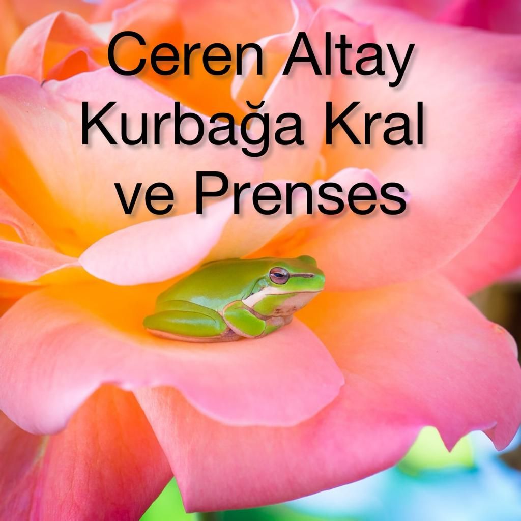 "Kraliçe, kurbağa kralı öpse olacak tek şey dudağında kocaman bir uçuktur."
-Ceren Altay, Kurbağa Kral ve Prenses
kovuk.org/kurbaga-kral-v…