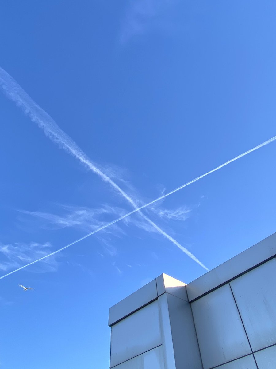 Elon Musk abim yine iş başında <a href="/elonmusk/">Elon Musk</a>